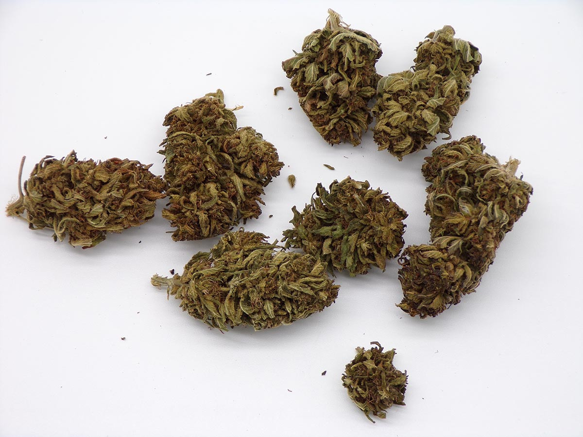 Les délices de la nature